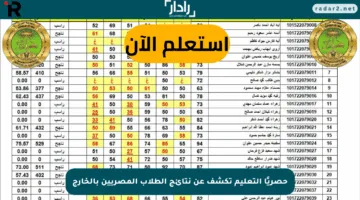 حصريًا التعليم تكشف عن نتائج الطلاب المصريين بالخارج